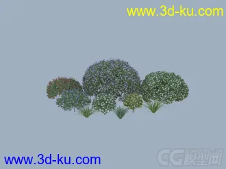 灌木模型的图片