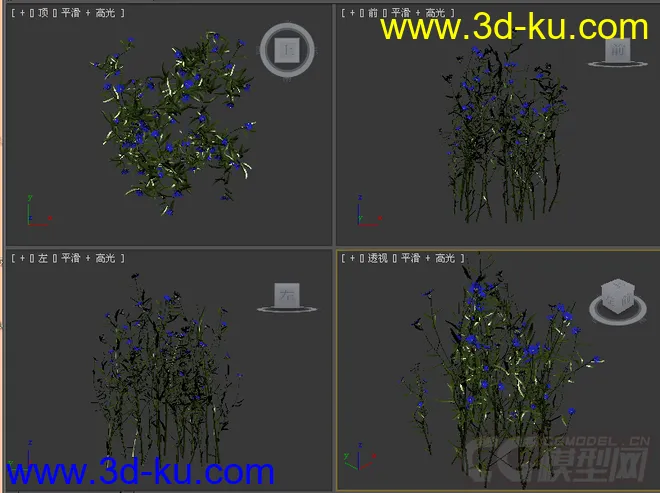 花草模型的图片2