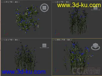 花草模型的图片
