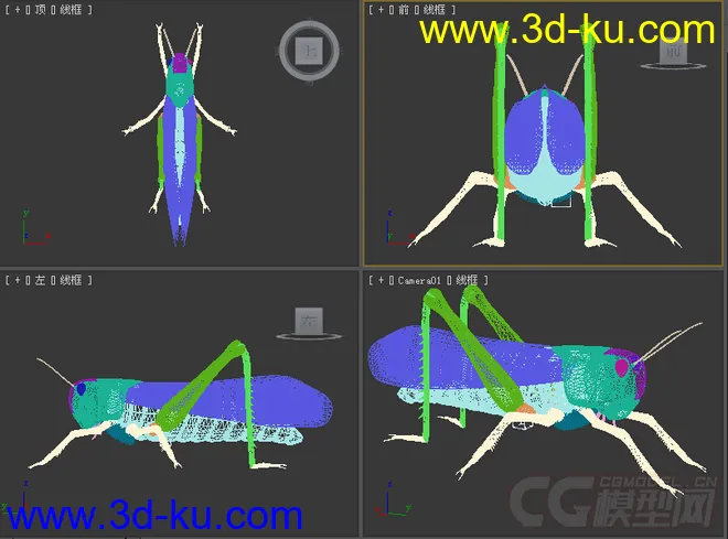 蝗虫模型的图片2