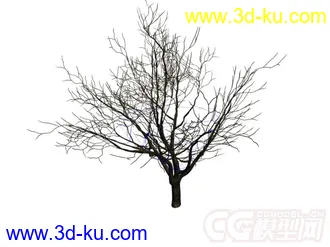 枯树干模型的图片