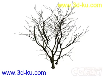 枯树干模型2的图片