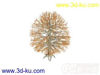 枯树模型的图片