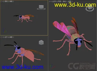 蜜蜂模型的图片
