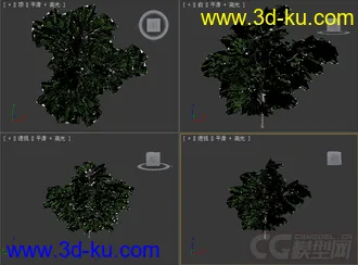 树模型01的图片