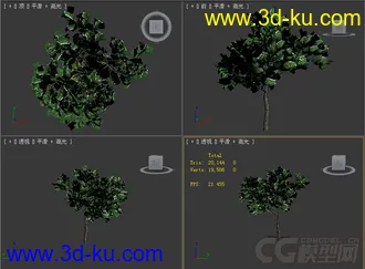 树模型02的图片