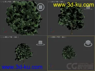 树模型03的图片