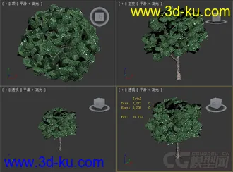 树模型04的图片