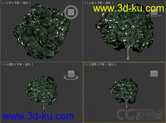树模型05的图片