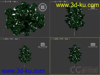树模型08的图片