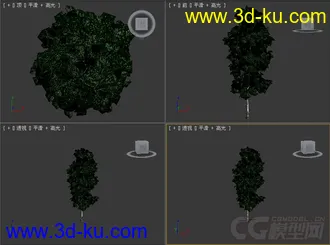 树模型09的图片