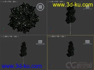 树模型10的图片