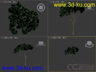 树模型13的图片