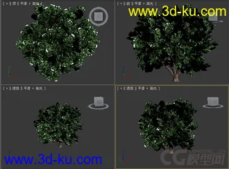 树模型14的图片