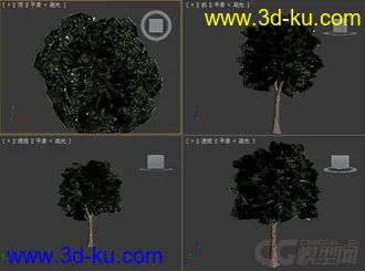 树模型16的图片