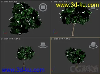 树模型17的图片