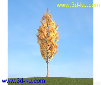 树模型21的图片