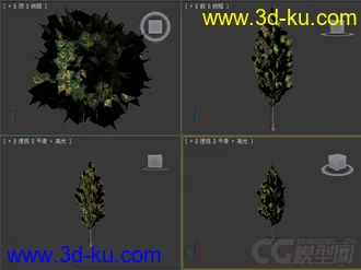 树模型21的图片