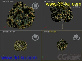 树模型22的图片