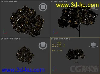 树模型23的图片