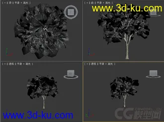 树模型25的图片