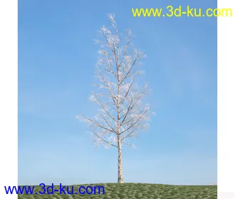 树模型26的图片