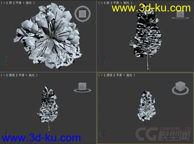 树模型26的图片2