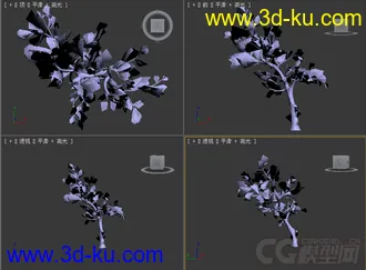 树模型27的图片