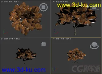 树模型30的图片