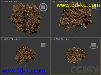 树模型32的图片