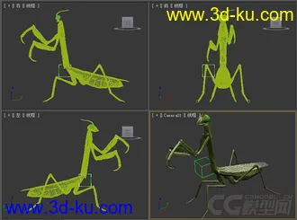 螳螂模型的图片