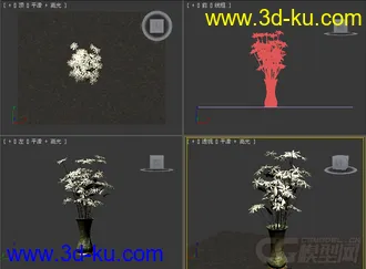 小菊花模型的图片