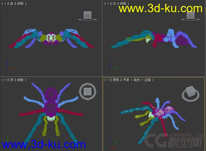 蜘蛛模型的图片2