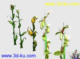 植物花草小合集模型的图片
