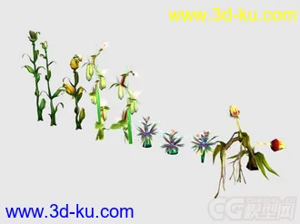 植物花草小合集模型的图片