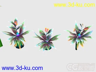 植物花草小合集模型的图片