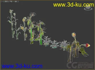 植物花草小合集模型的图片
