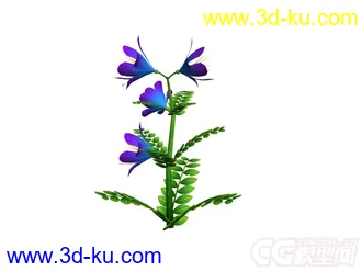 紫花檀香草模型的图片