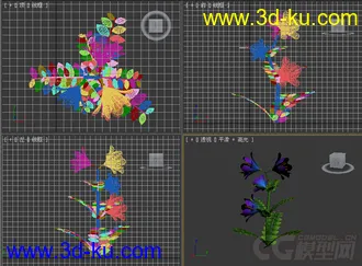 紫花檀香草模型的图片