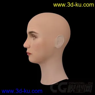3D打印模型写实女人头的图片