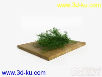 菜模型的图片