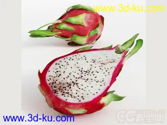 火龙果模型的图片