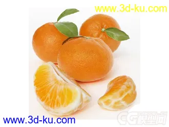 橘子模型的图片