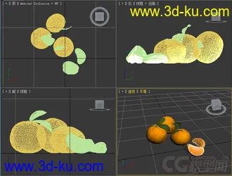 橘子模型的图片