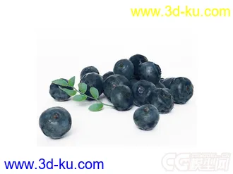 蓝莓模型的图片