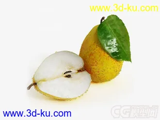梨子模型的图片