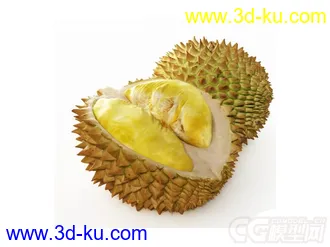 榴莲模型的图片