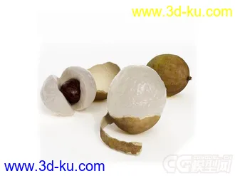 龙眼食物模型的图片