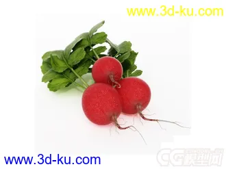萝卜模型萝卜模型的图片