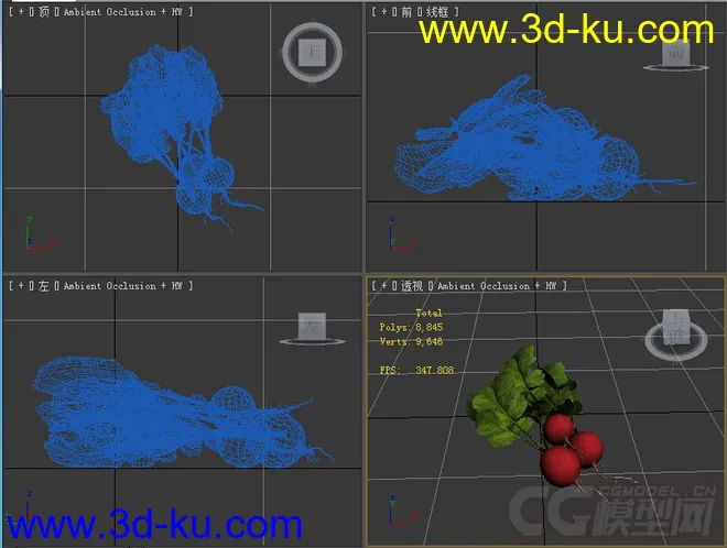 萝卜模型萝卜模型的图片2